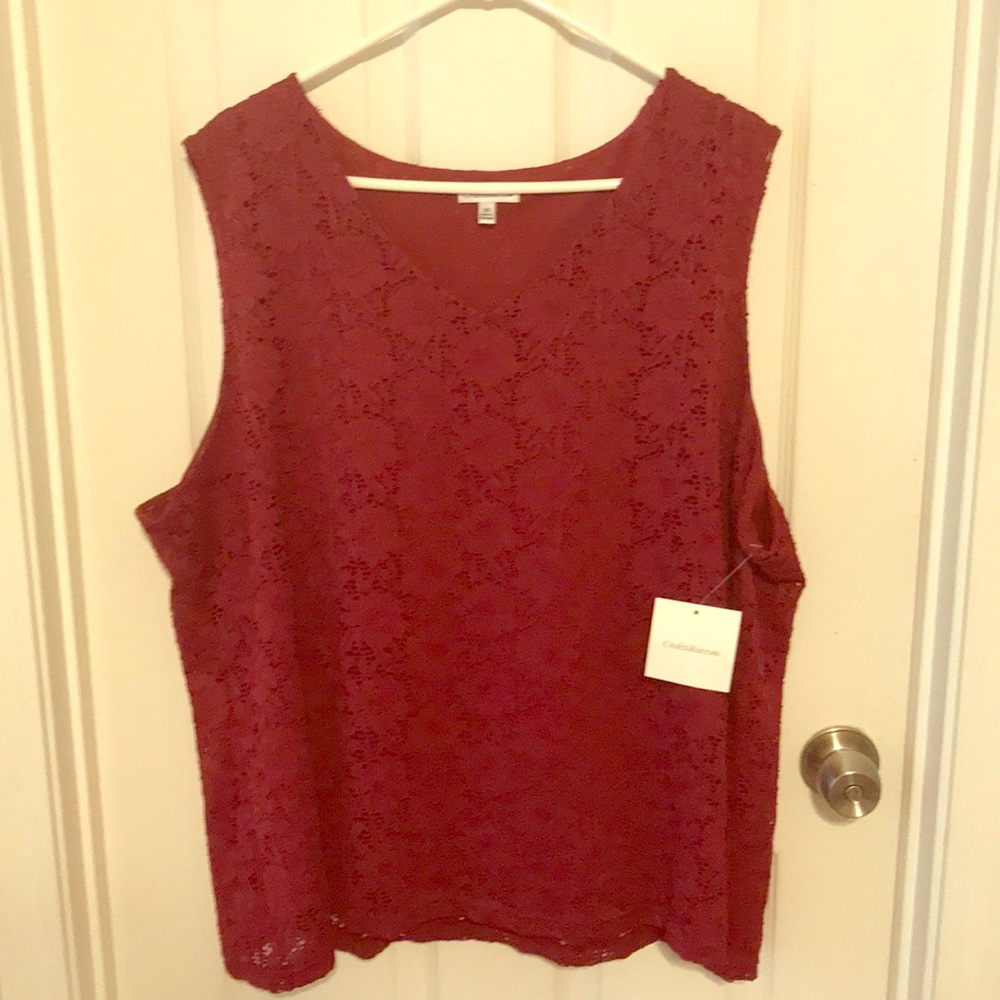 Plus Size Croft&Barrow Lace Dress Tank